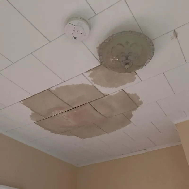 Ceiling Water Damage Repair in Warren County, KY