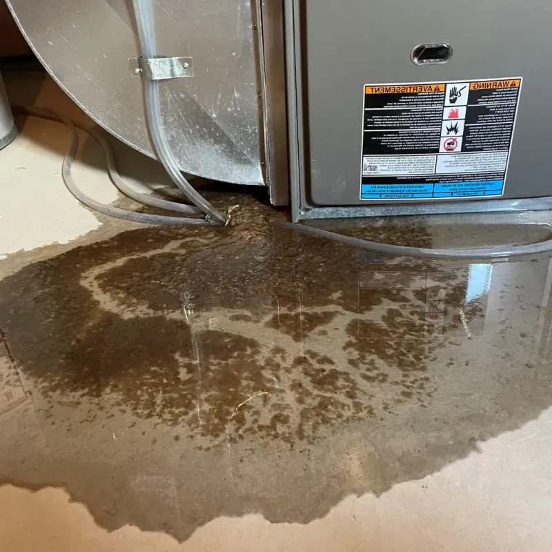 Pipe Burst and Leak Restoration in Warren County, KY