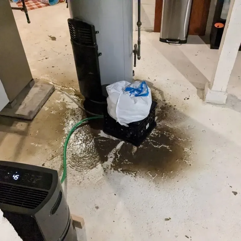 Sewage Backup Cleanup Service in Warren County, KY